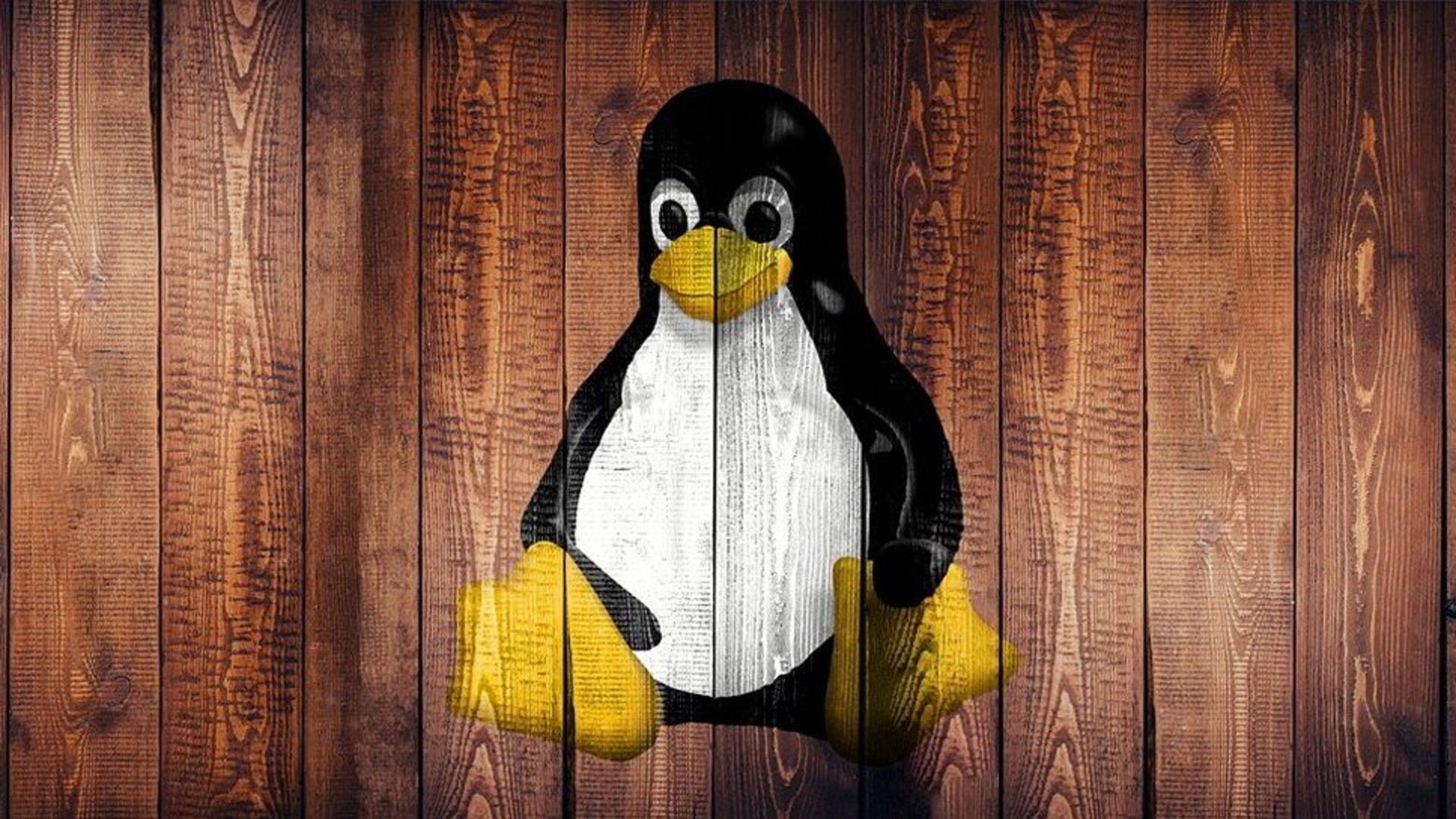 Linux kernel development and AI-assisted review
